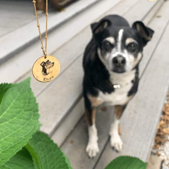 Pet Face Necklace 